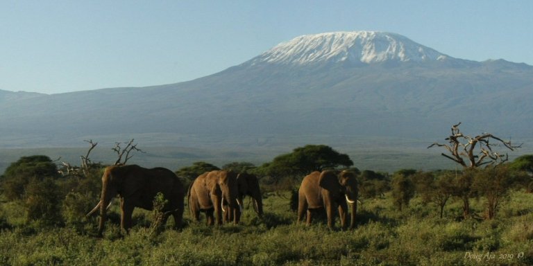 Kenya Safari Legends: 10 Days of Wildlife & Culture