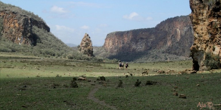 Kenya Wild treasures