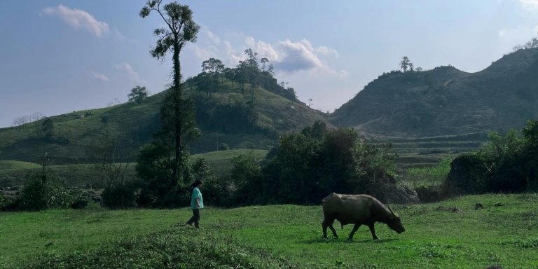 Mai Chau & Moc Chau 3-Day Cultural and Nature Tour from Hanoi
