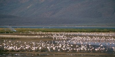 The Great Rift Valley and Maasai Mara Camping Safari