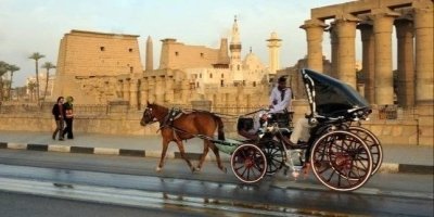 Luxor City Tour By Horse Carriage