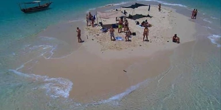 Zanzibar Mnemba Dolphin and Snorkeling Tour