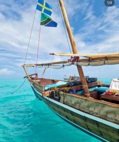 Zanzibar Mnemba Dolphin and Snorkeling Tour