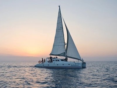 Fishing Pemba Channel Wasini Shimoni Fishing Port