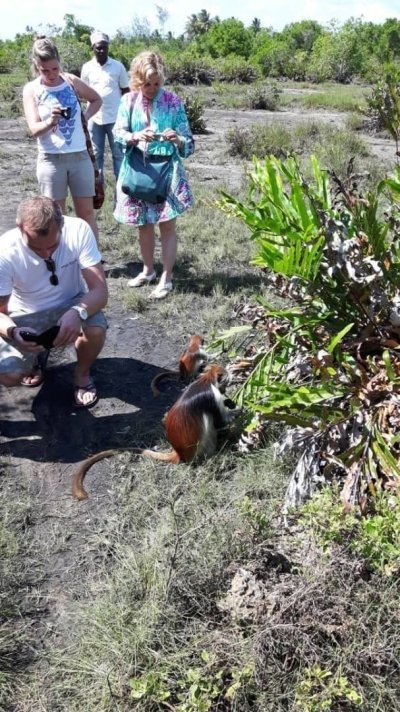 Zanzibar Tours and Airport Transfers