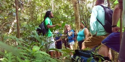 St Kitts Tropical Jungle Explorer Walk And Beach