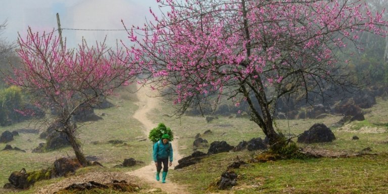 Ha Giang & Cao Bang 4 Days 3 Nights | Authentic Northern Vietnam