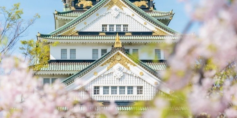 Osaka Cherry Blossom Day Trip