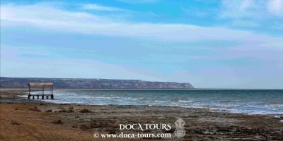 Aral Sea Wonders and Karakalpak Nature Expedition
