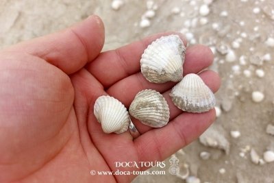 Aral Sea Wonders and Karakalpak Nature Expedition