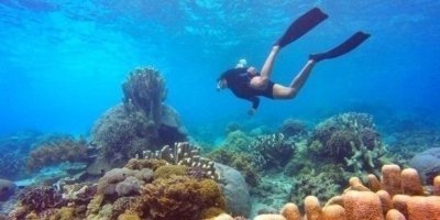 Nha Trang Island Hopping & Cham Culture Tour 4D3N