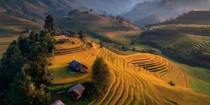 Mu Cang Chai Terraces & Tram Tau Hot Springs 3D2N
