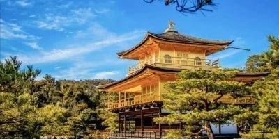 Discover Kyoto One Day Private Tour of Shrines Temples and Gion