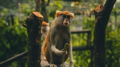 Three Day Volta Adventure