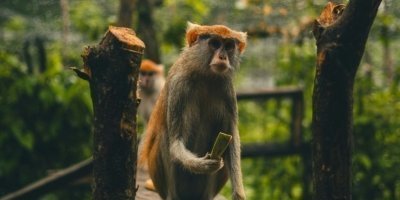 Three Day Volta Adventure