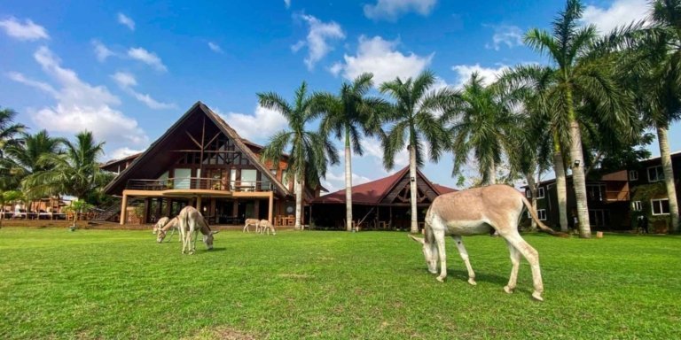 3-Day Southern Ghana Escape