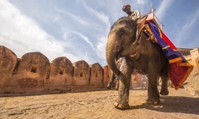 From Delhi: Same Day Jaipur City Tour by Car - All Inclusive