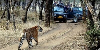 Kanha National Park: 3-Day Tribal Tour with Tiger Safari