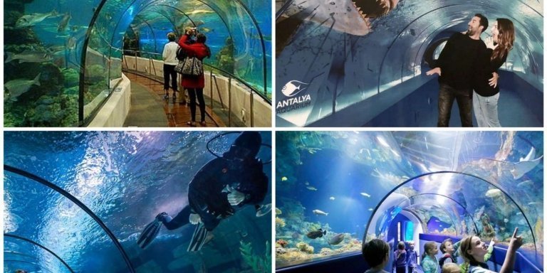 Discover the Wonders of Antalya Aquarium Tour