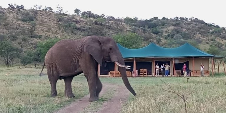 TANZANIA ADVENTURE BIG FIVE SAFARI AND ZANZIBAR BEACH VACATION