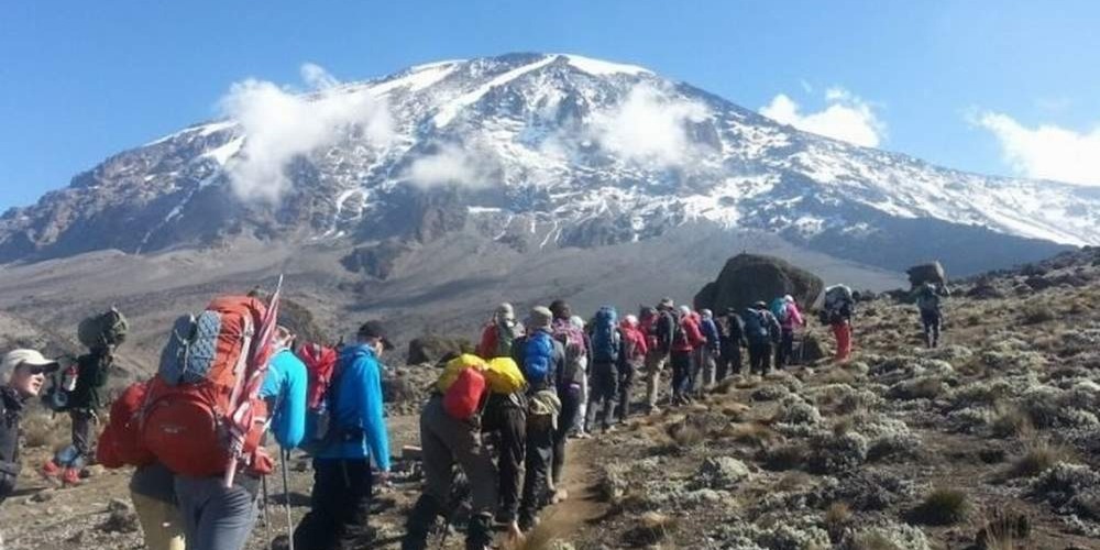 5 days kilimanjaro climbing - marangu route