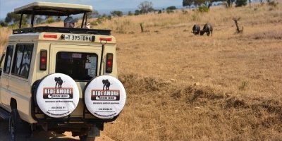 1 Day Mikumi Safari from Dar es salaam