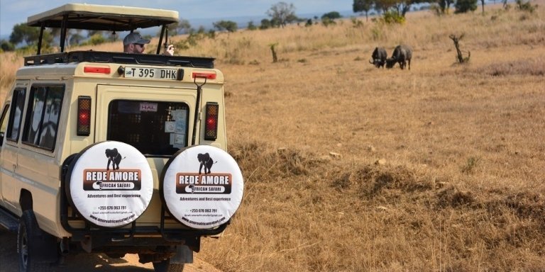 1 Day Mikumi Safari from Dar es salaam