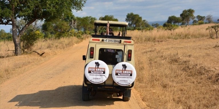 1 Day Mikumi Safari from Morogoro 2026-2027
