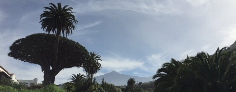 Tenerife Island Tour