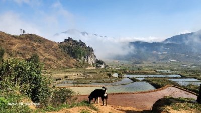 Bac Ha Cycling Tour from Lao Cai 3 Days