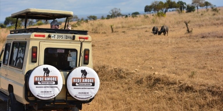 4 Days Tanzania Luxury Safari 2026-2027