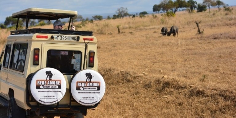 5 Days Tanzania Luxury Safari 2026-2027