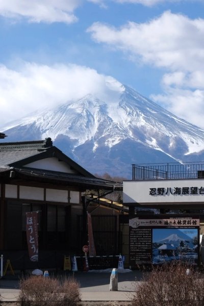 Mt. Fuji & Hakone Day Tour （Mount Fuji view）