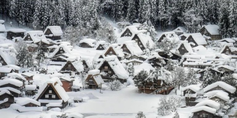 Takayama & Shirakawa-go Day Tour