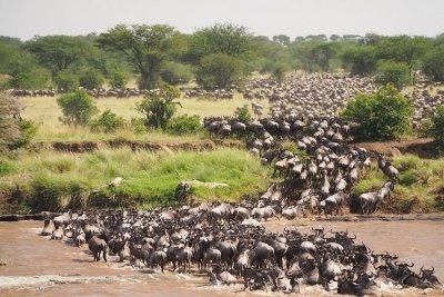 6 Days Tanzania Private Safari 2026-2027