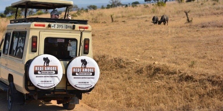 7 Days Tanzania Private Safari 2026-2027