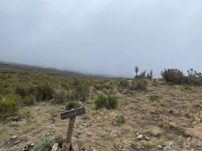 Day Kilimanjaro Climb Shira Plateau - Cathedral Point Expedition