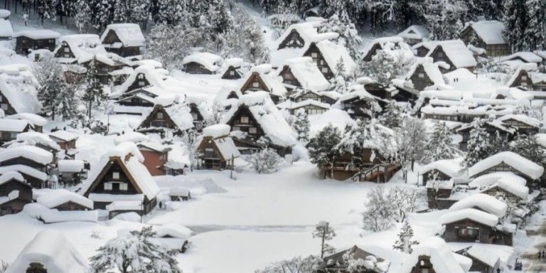 Takayama & Shirakawa-go Day Tour