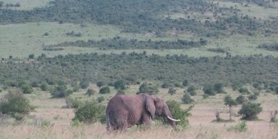 13 DAYS GROUP JOINING COMBINED KENYA AND TANZANIA