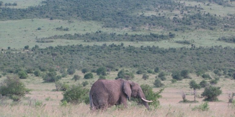 13 DAYS GROUP JOINING COMBINED KENYA AND TANZANIA