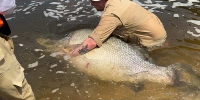 7 Days Epic Nile Perch Fishing At Murchison falls