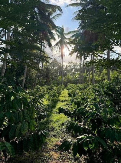 Bali's Loving Embrace: Nusa Penida Expedition  7Days/6Nights