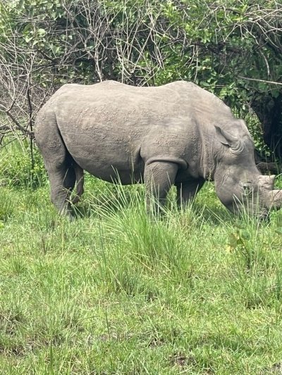 3 Days Budget  Murchison Falls National Park Safari