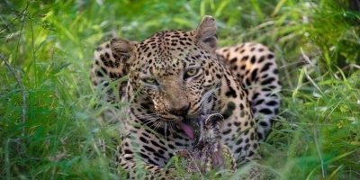 6 Days Tanzania Private Safari from Arusha
