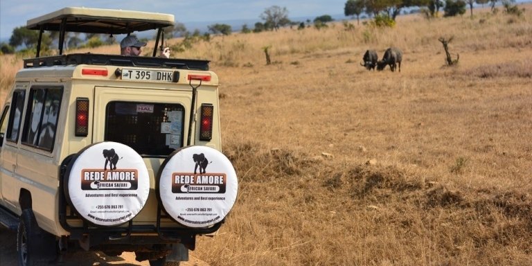 3 Days Tanzania Budget Safari from Arusha