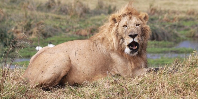 5 Days Adventure Safari