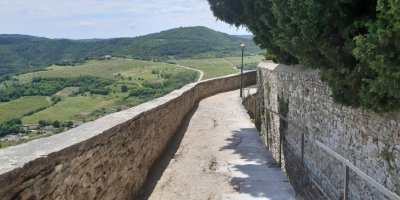 Inner Istria Tour - From Rovinj