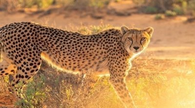 3 days Tanzania group sharing budget safari itinerary