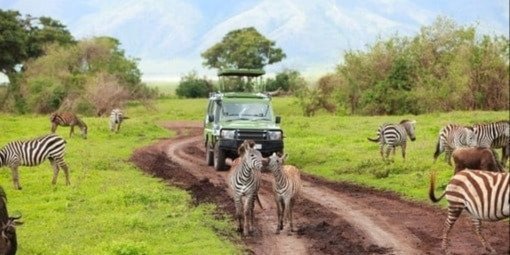 7 Days 6 Nights Tanzania Family Safaris