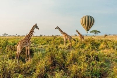 3 Day 2 Nights Baobab Experience Safaris-Tanzania
